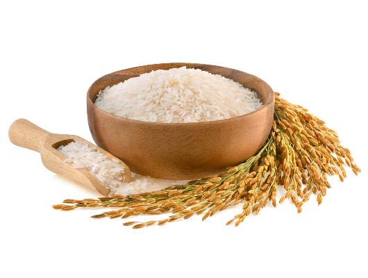 Swarna Rice